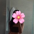 kailu meiteņu foto, erotiski foto, erotiski kailfoto, porno bildes